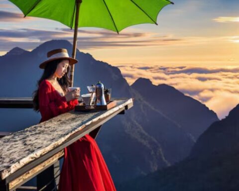 TravelsForNow.com